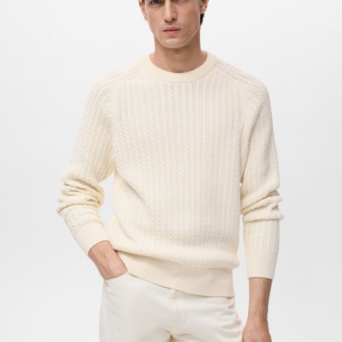 Men's Crew Neck Knit Sweater